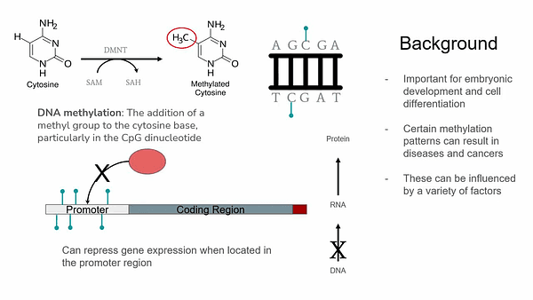 Machine Learning Prediction of Age and Alzheimer’s Disease from DNA Methylation Profiles